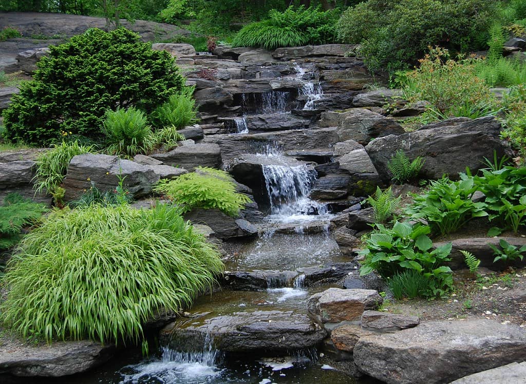 Master Gardener's Gardens