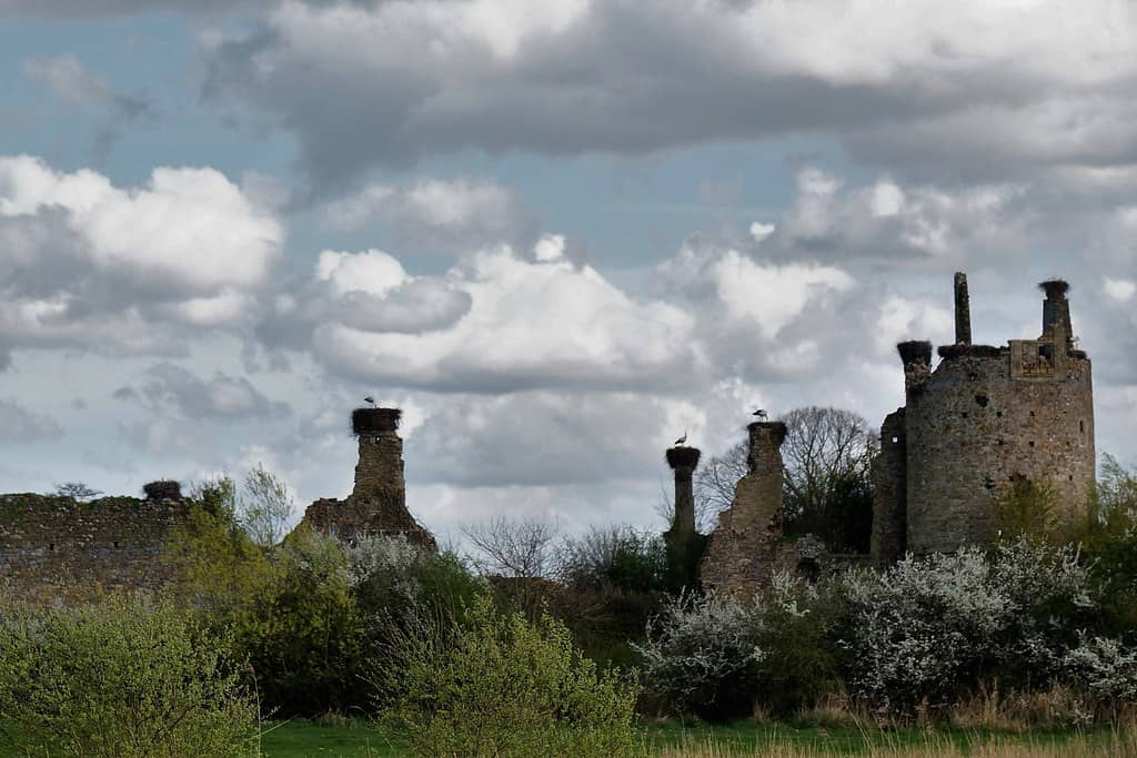 Castle Ruins