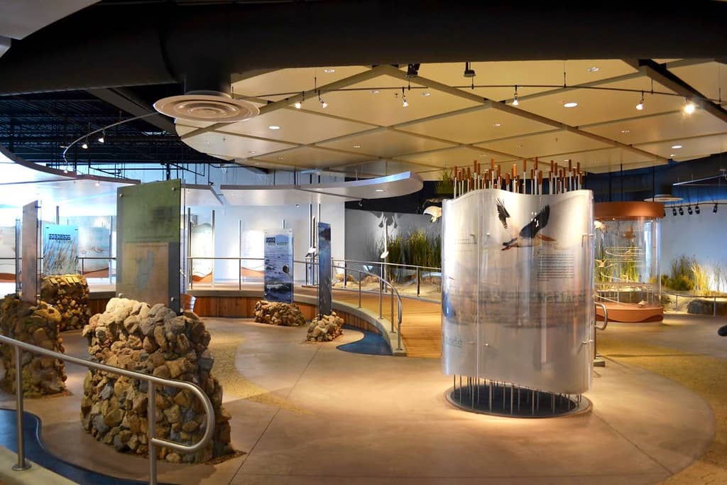 Visitor Center Exhibits