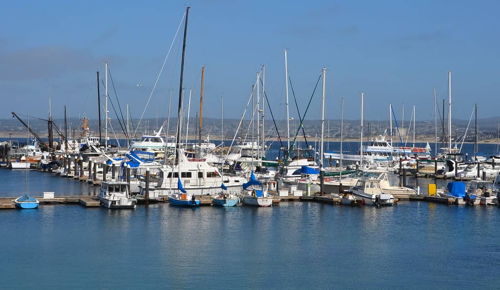 Panoramic Bay Views