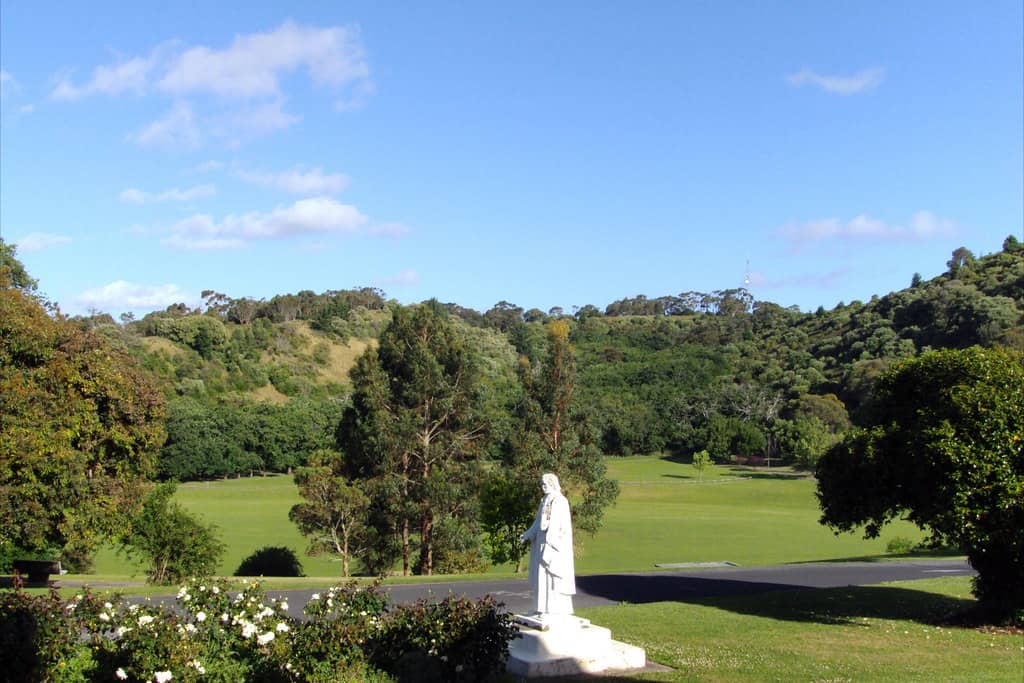 The 'Five Brothers' Trees
