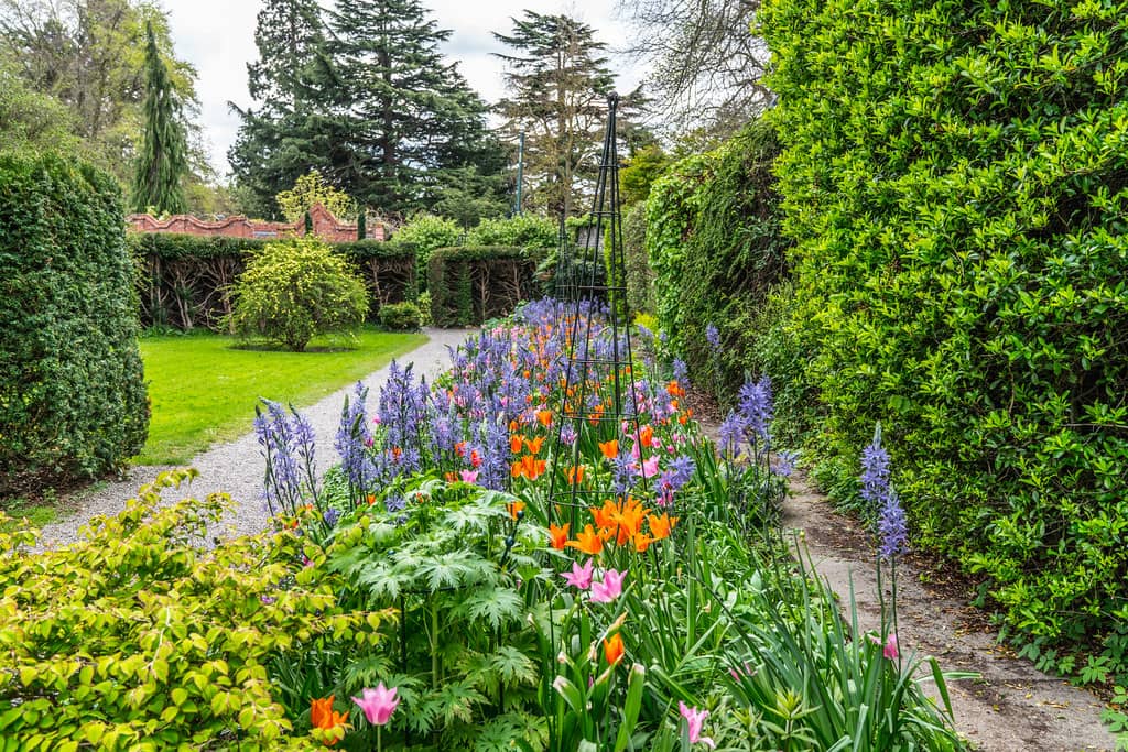 Expansive Gardens