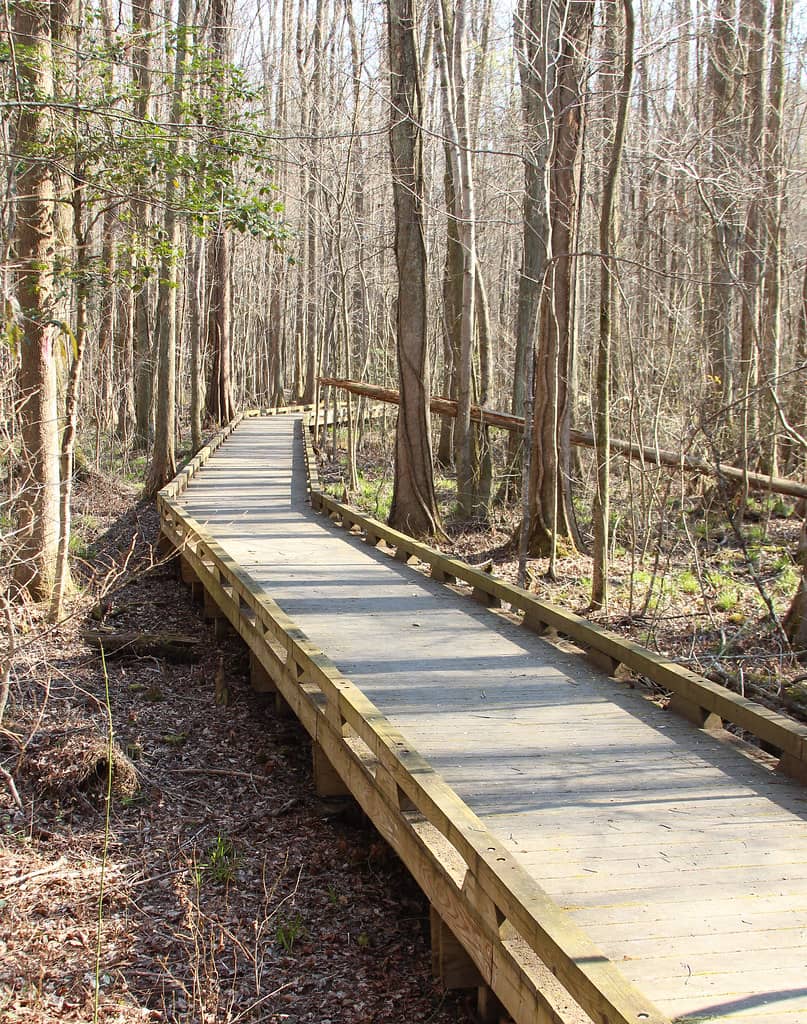 Boardwalk Trails