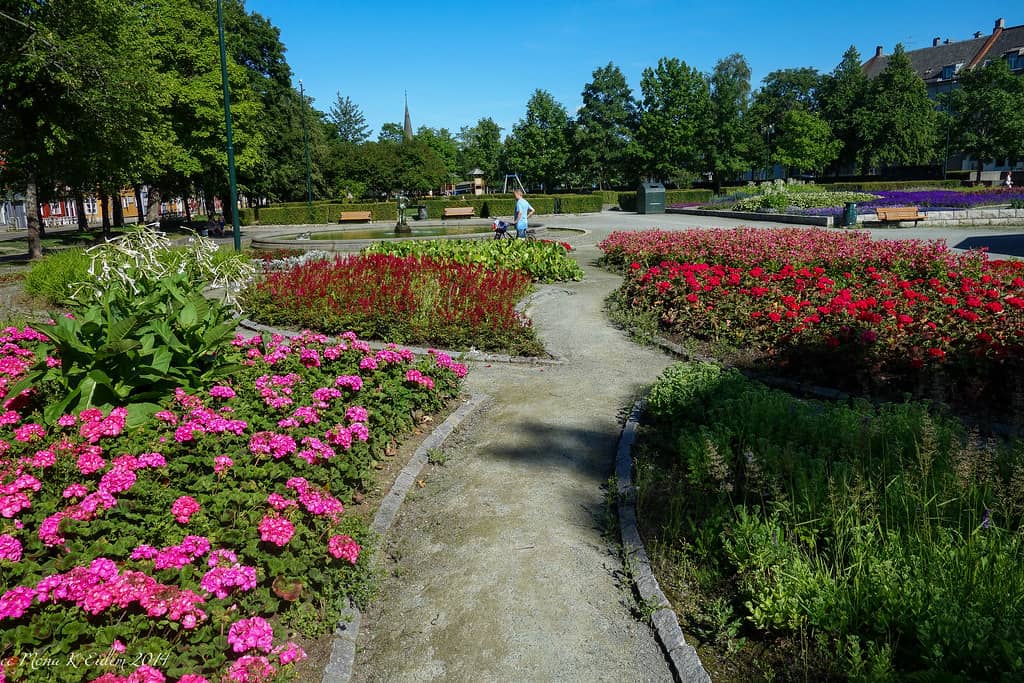 Vibrant Flower Gardens