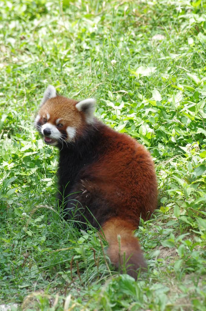 Wild Zone Bus Tour