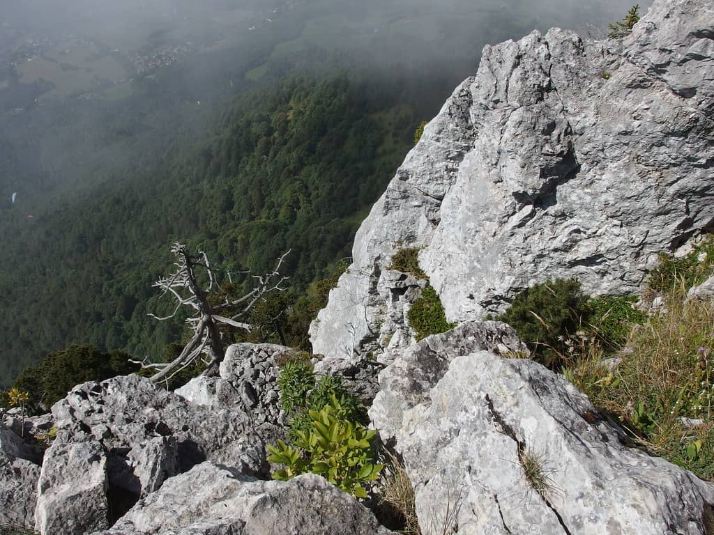 Technical Ascent