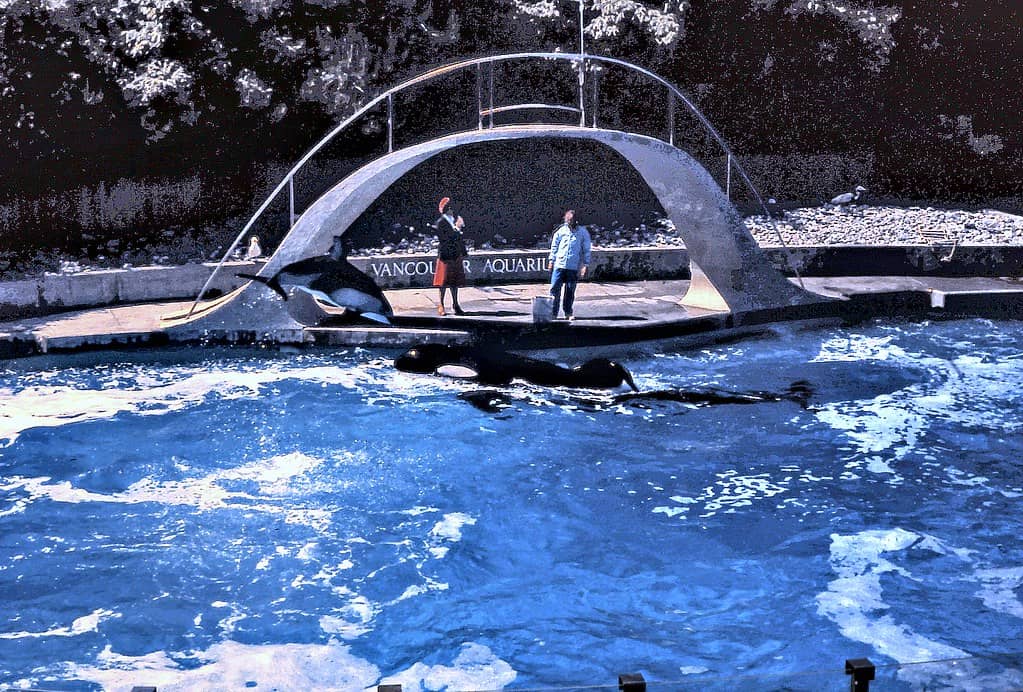 Vancouver Aquarium