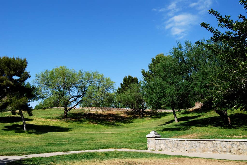 Memorial Park