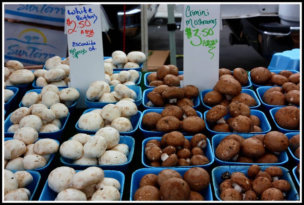 Gourmet Food Stalls