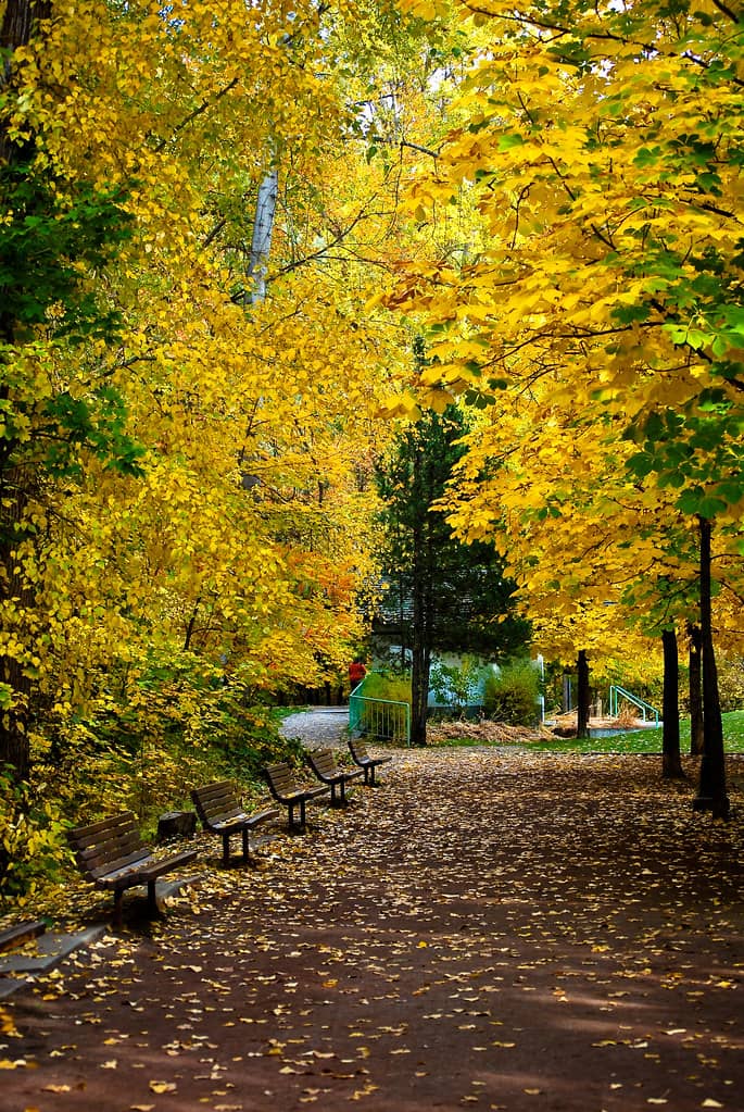 Riverside Trails
