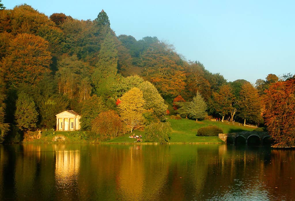 Autumn Foliage