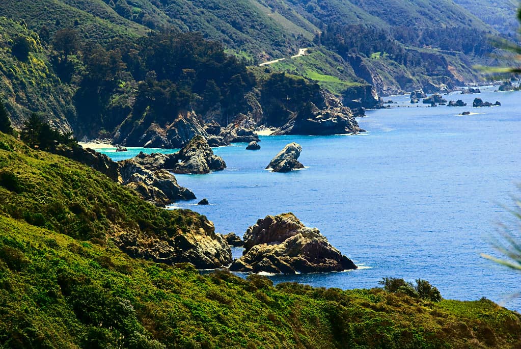 Partington Cove