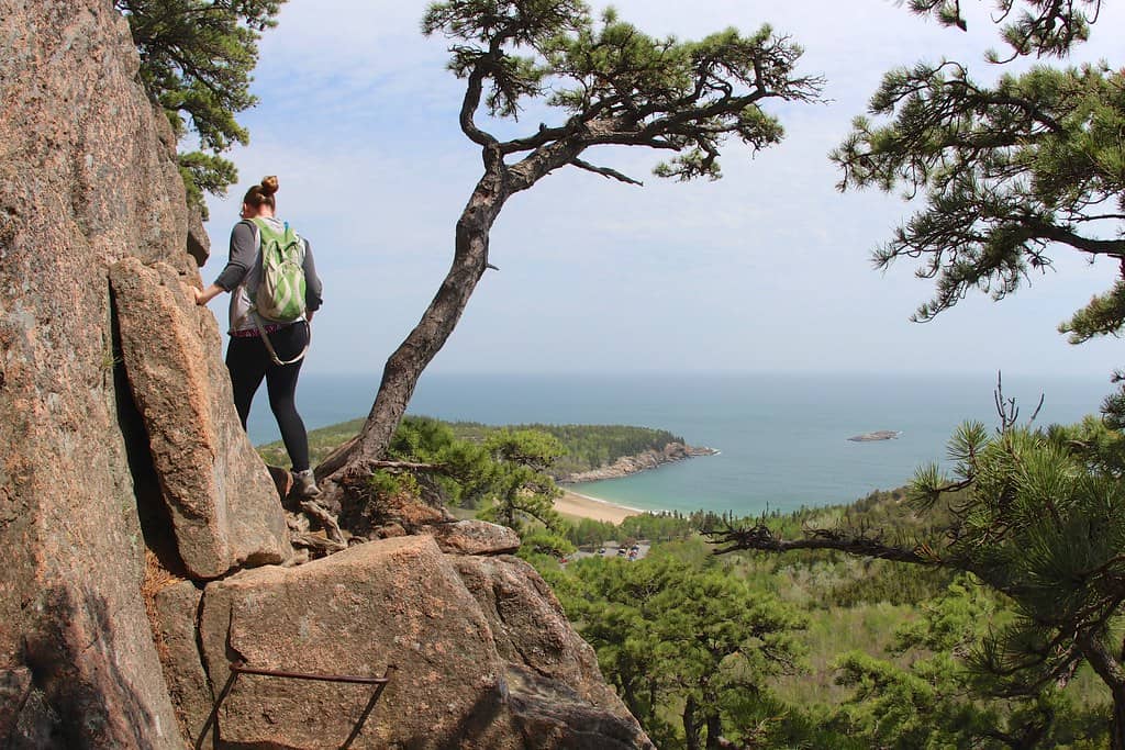 Beehive Trail