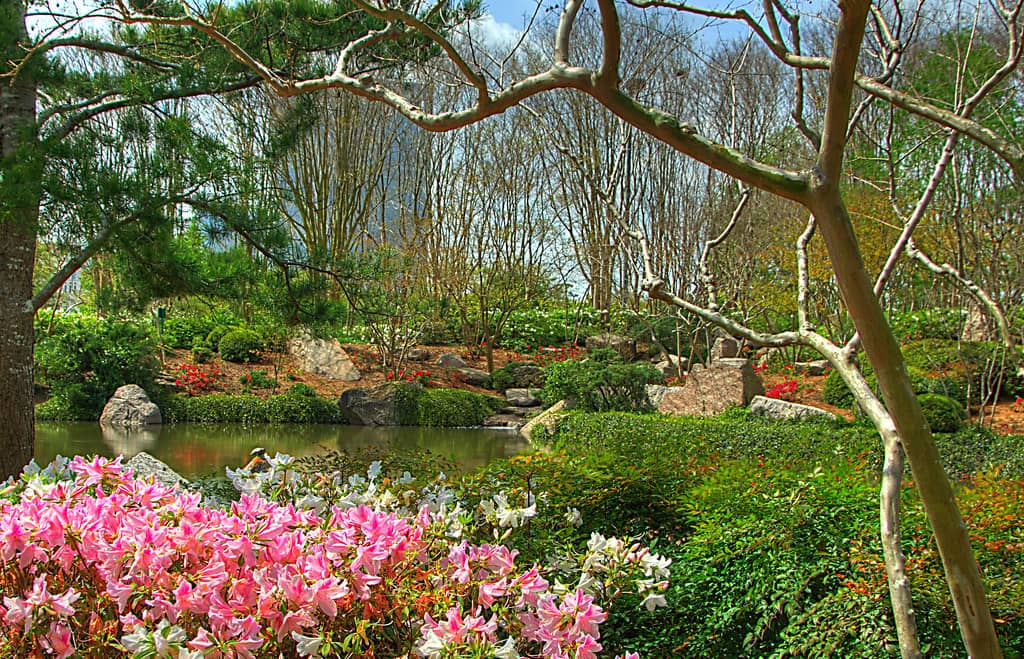 The Global Warming Garden