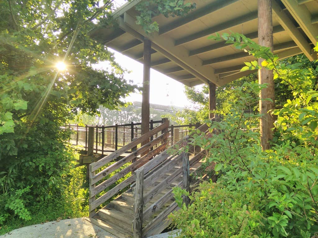 Nature Playground