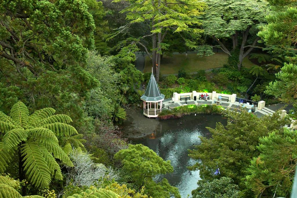 Native Bush Walk
