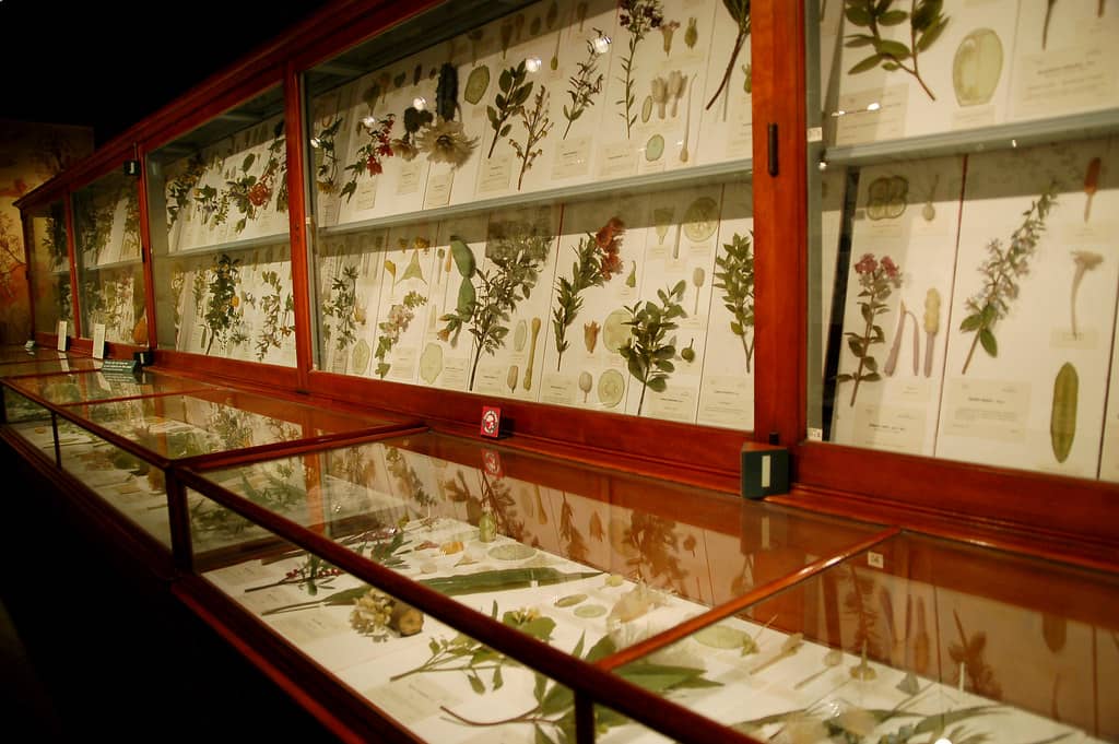 Botanical Exhibits