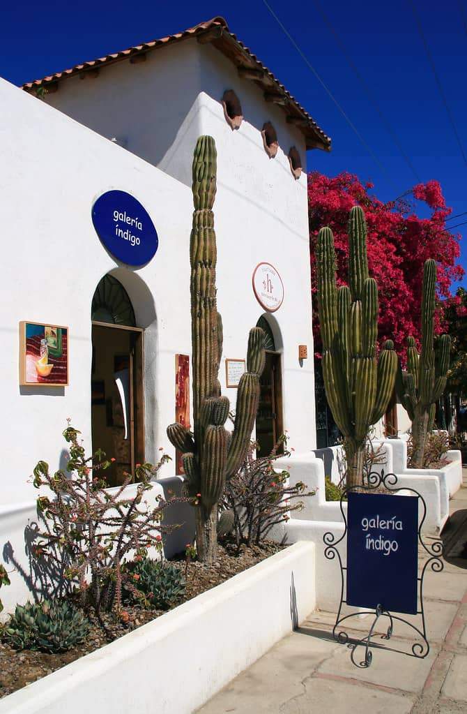 Art Galleries