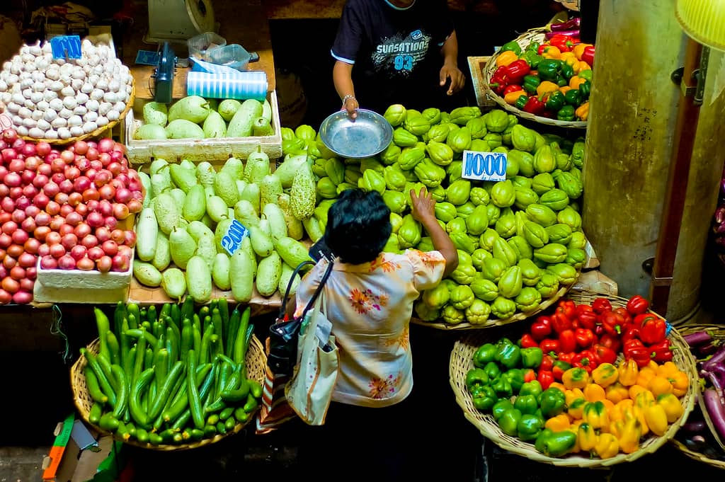 Vibrant Produce Stalls