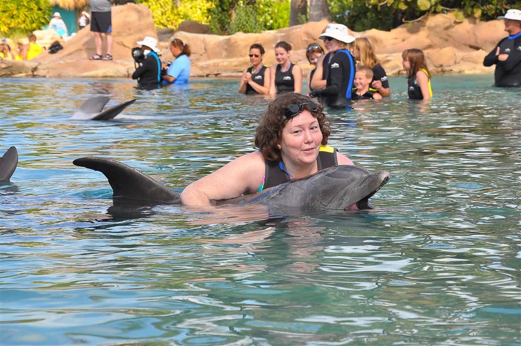Dolphin Swim