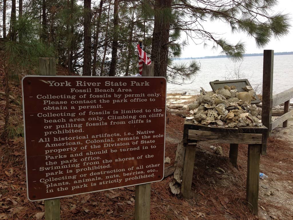 Estuarine Ecology