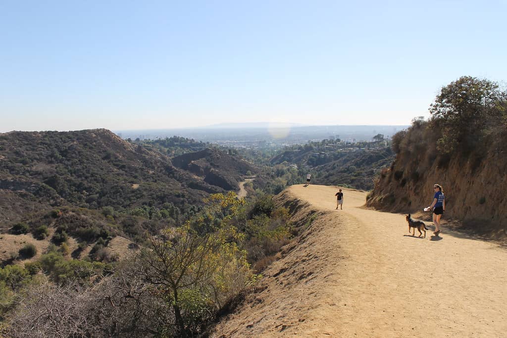 Hiking Trails