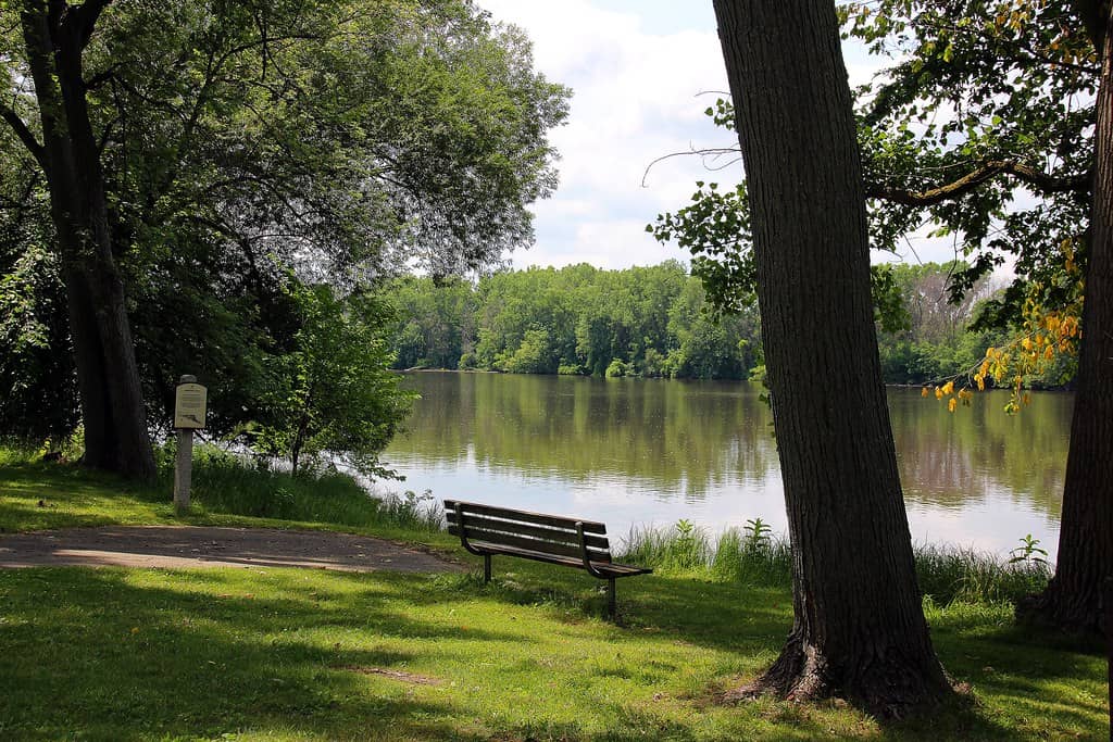 Grand River Views
