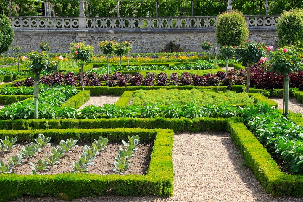 The Kitchen Garden
