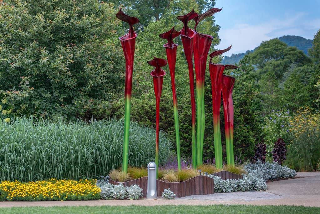 Botanical Gardens Stop