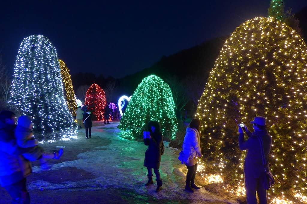 Illuminated Nightscapes