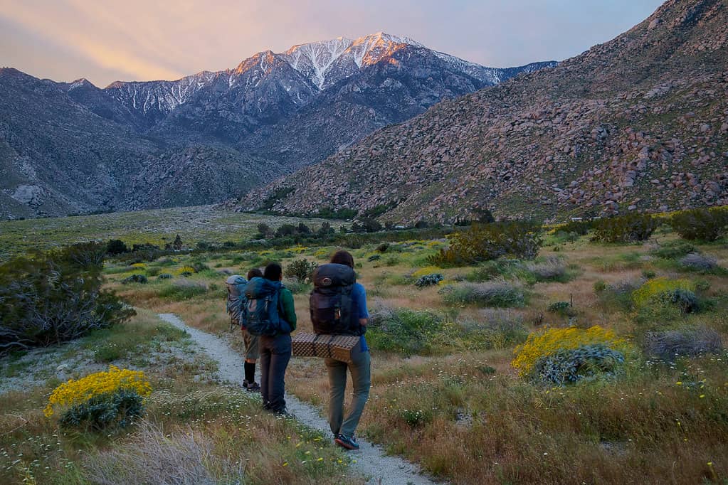 Accessible Nature Walks