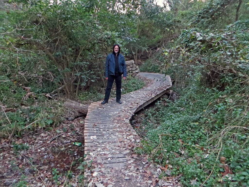 Cameron Park Trails