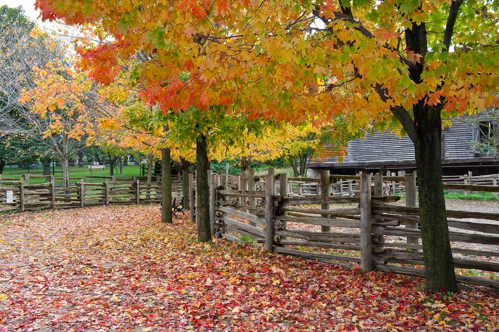 Riverdale Farm
