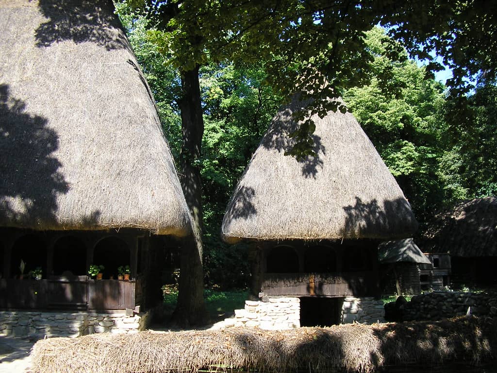 Dimitrie Gusti National Village Museum