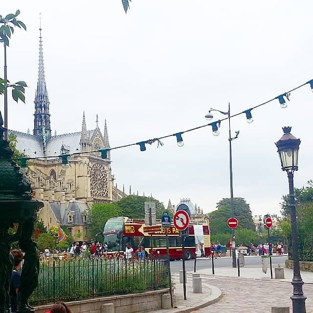 Views of Notre Dame