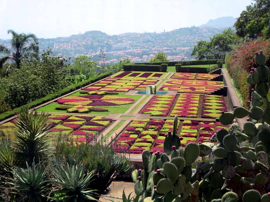 Exotic Plant Collections