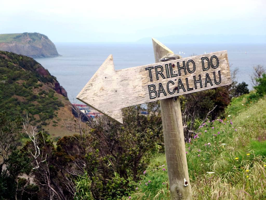 Oceanfront Trail