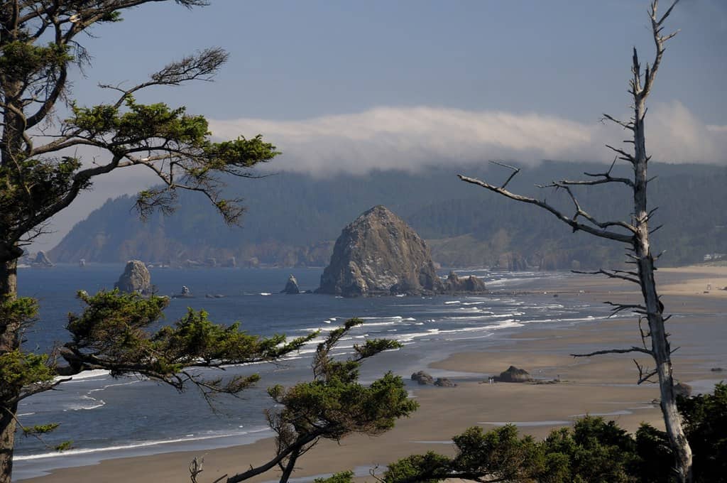 Coastal Serenity