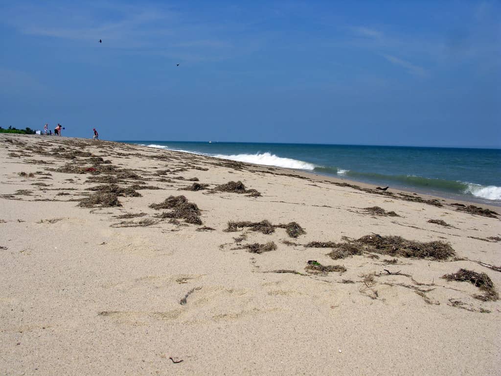 Siasconset Beach