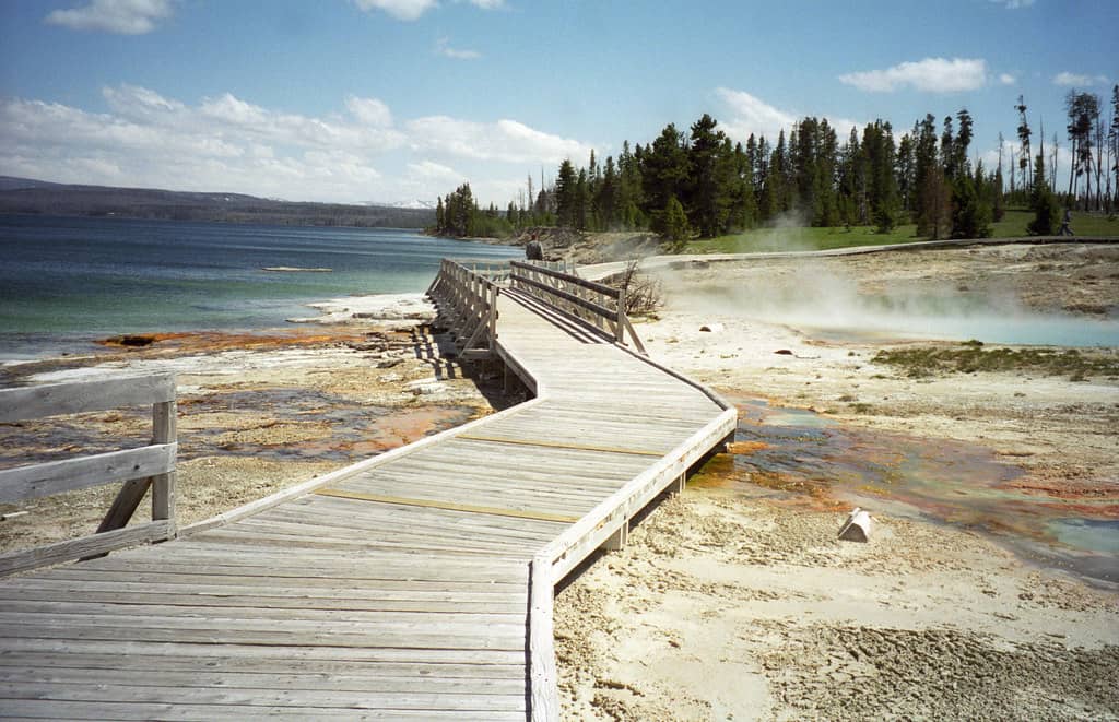 Easy, Scenic Boardwalk