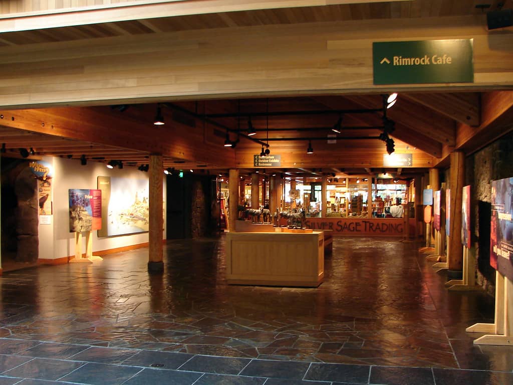 Museum Cafe