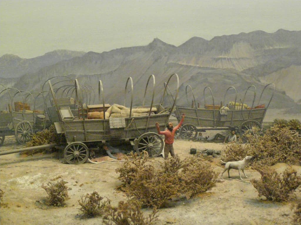 Desert Ecosystems