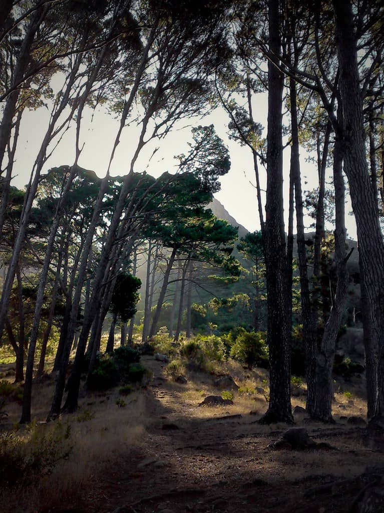 Hiking Trails