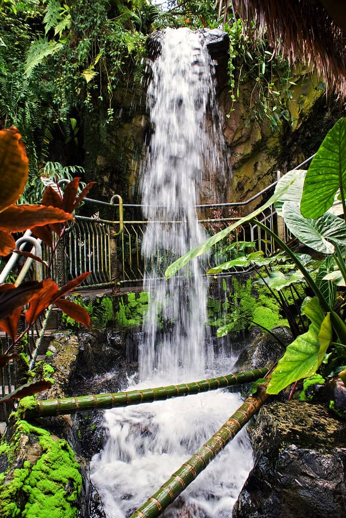 Water Features