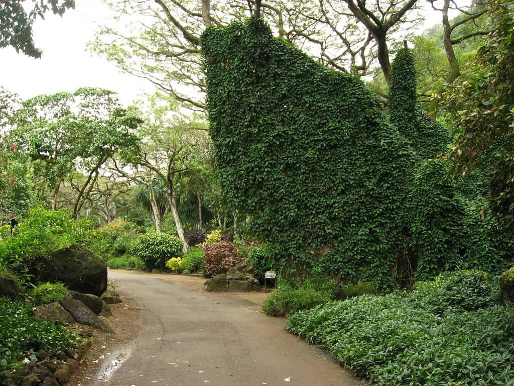 Botanical Gardens