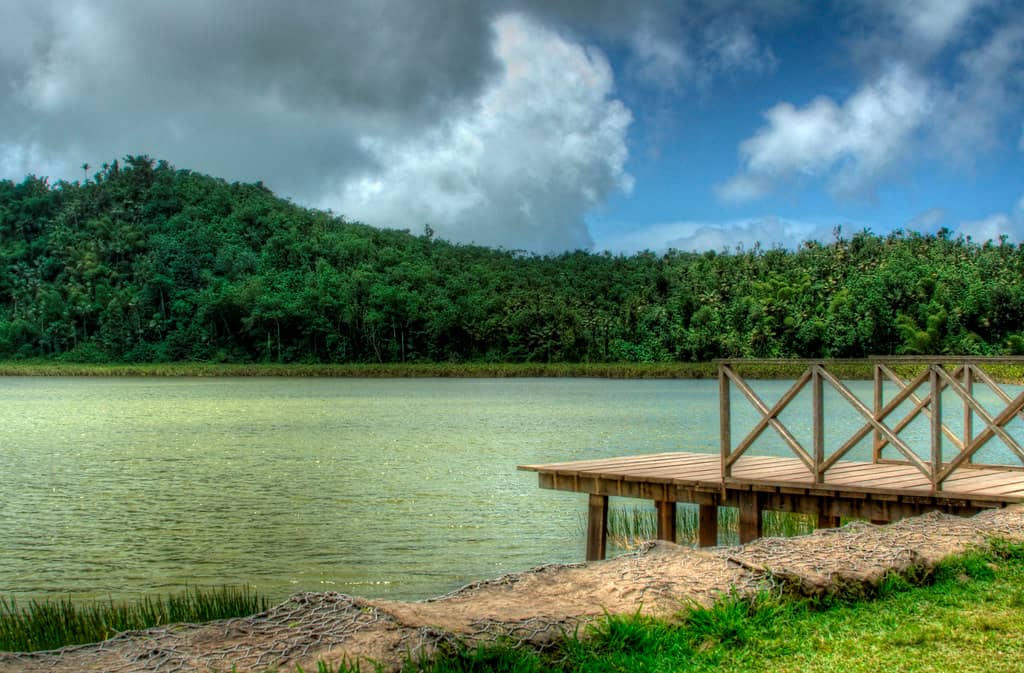 Nature's Serenity