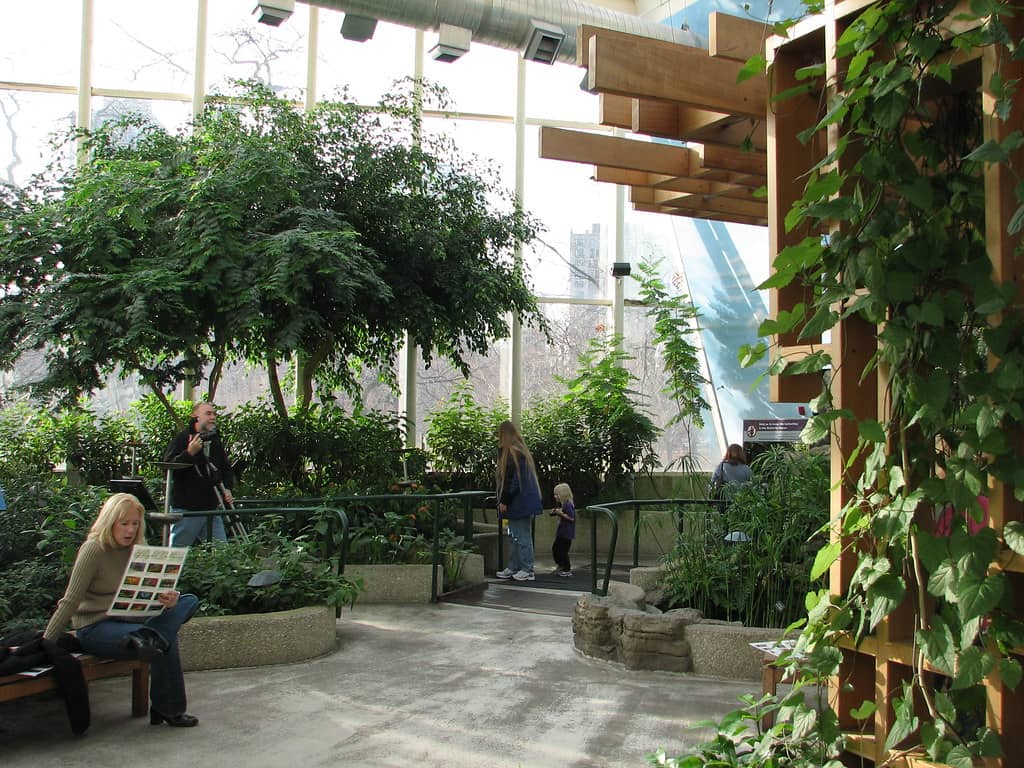 Spectacular Butterfly & Insect Exhibit