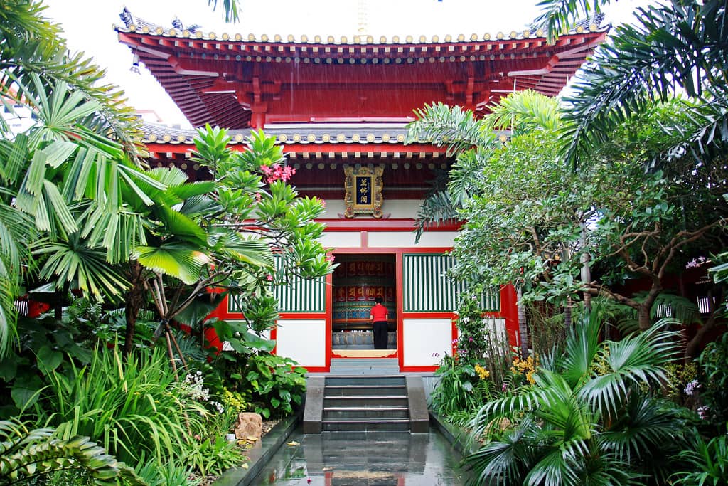 Tranquil Rooftop Garden
