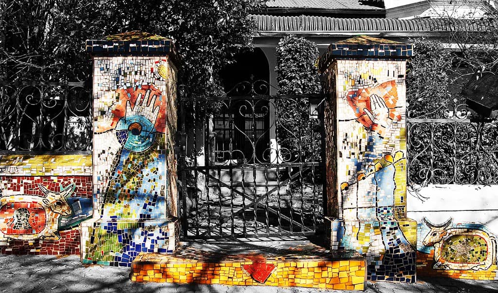 Braamfontein's Creative Canvas