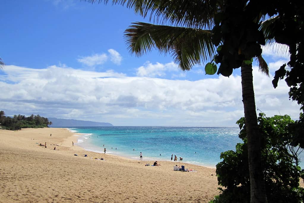 Spacious Sands
